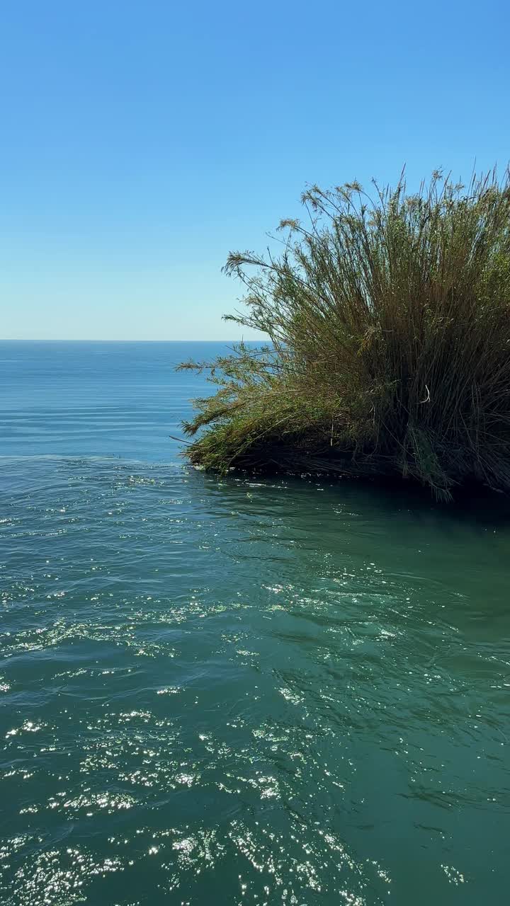 河流:自然界中流动的河流视频素材