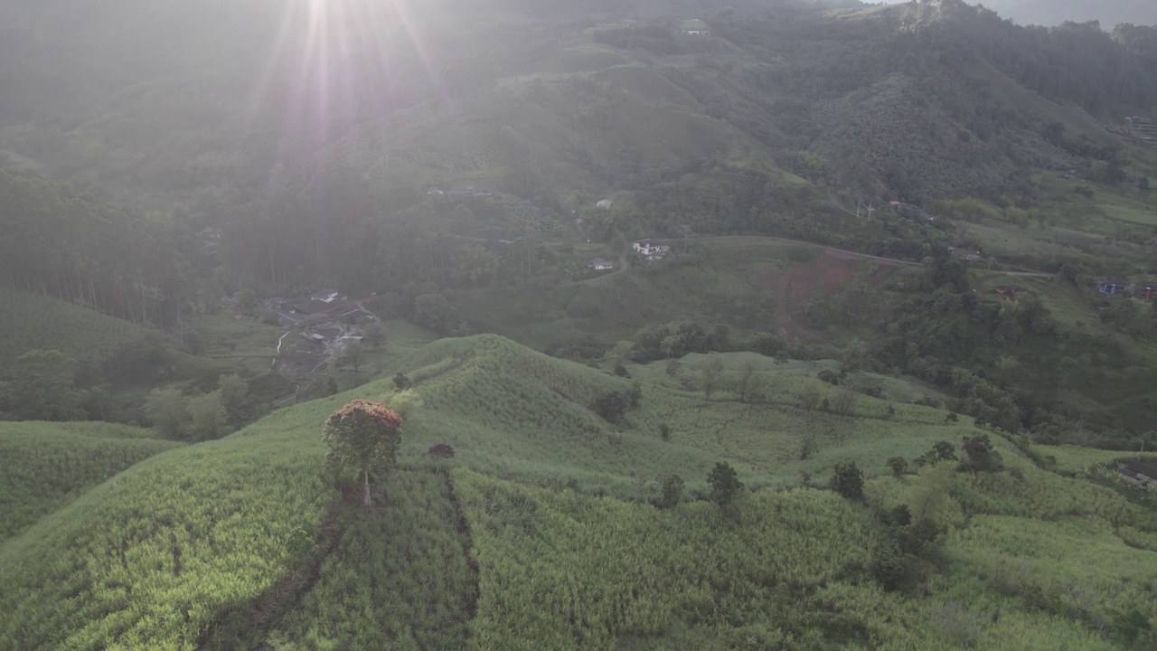 日出时的哥伦比亚亚热带雨林山脉视频素材