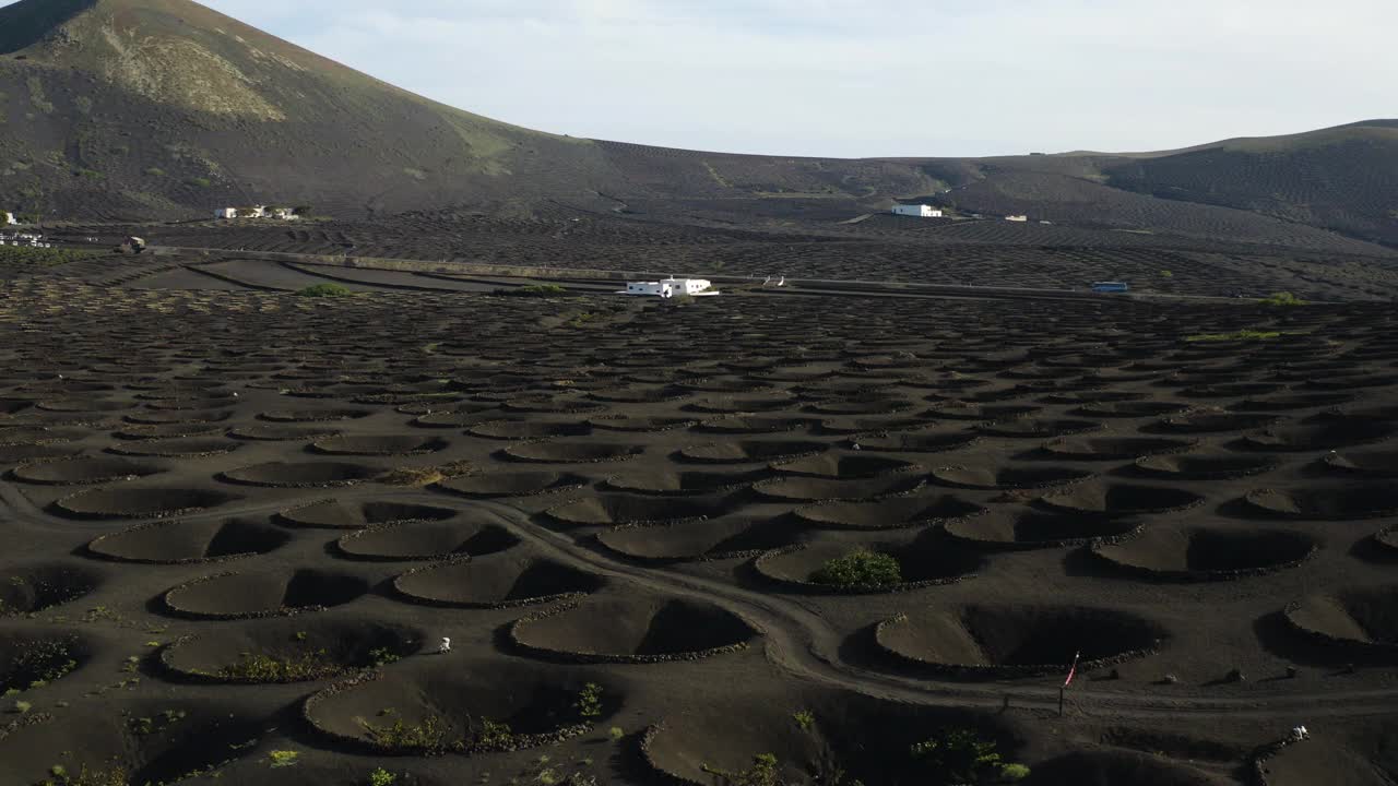 兰萨罗特岛火山葡萄园鸟瞰图视频素材