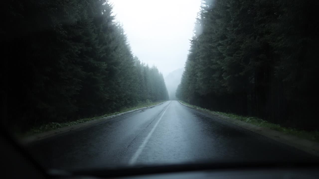 从汽车内部可以看到穿越森林的公路旅行视频素材