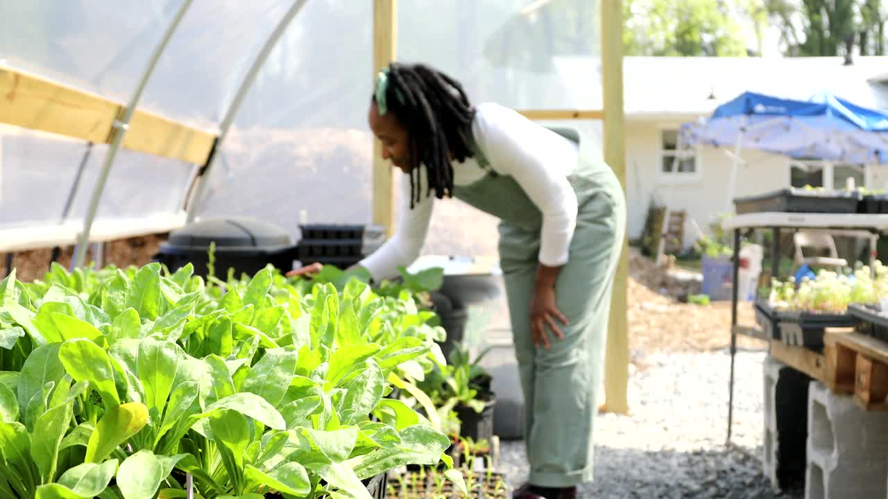 特写植物与农民的背景视频下载