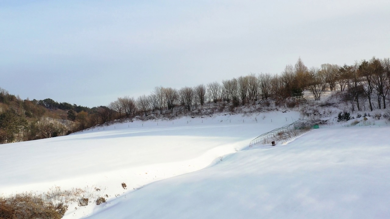 韩国江原道平昌郡大关岭附近的雪景视频素材