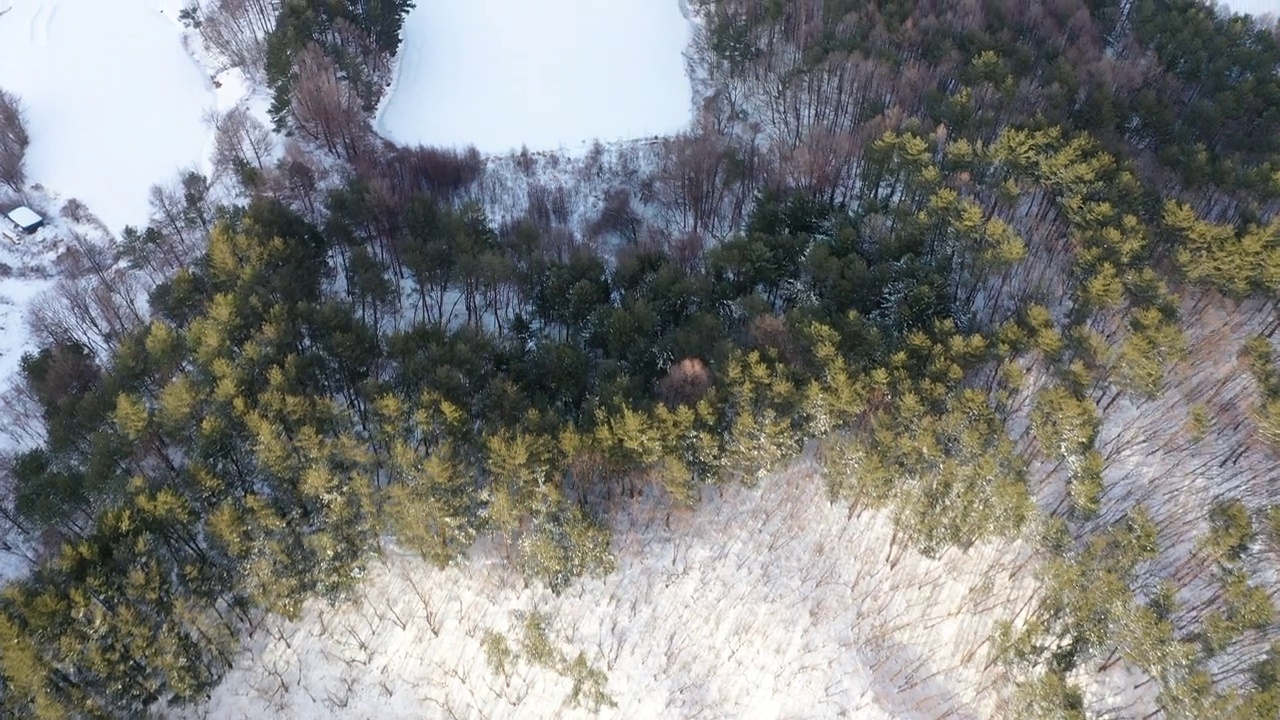 图为，韩国江原道平昌郡大关岭附近的雪景视频素材