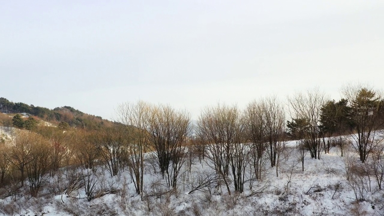 韩国江原道平昌郡大关岭附近的雪景视频素材