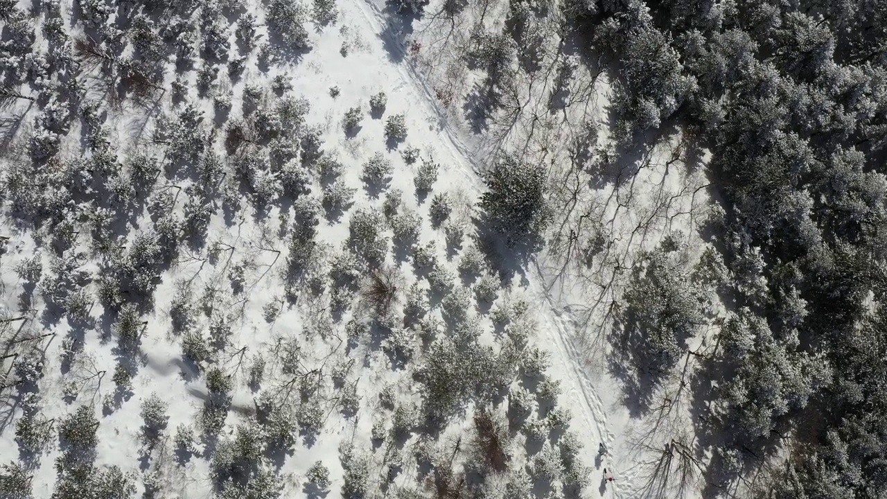 韩国江原道平昌郡大关岭附近的雪景视频素材