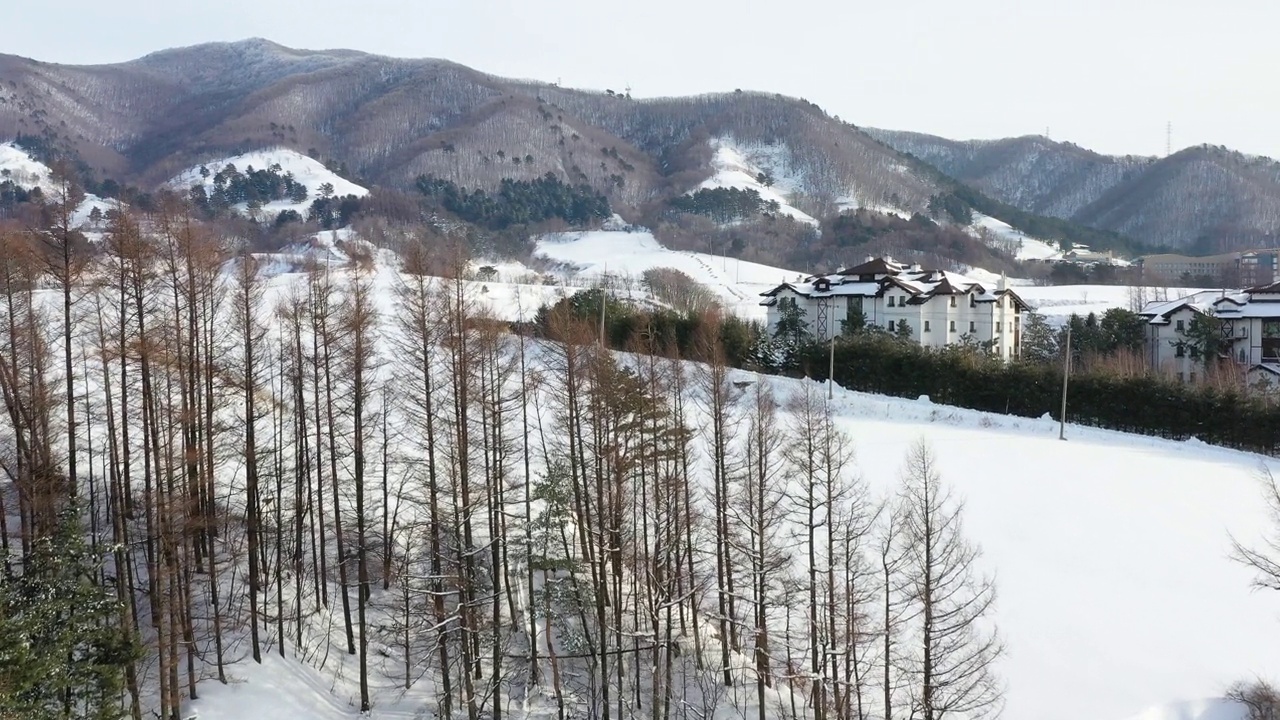 韩国江原道平昌郡大关岭附近的山野雪景视频素材