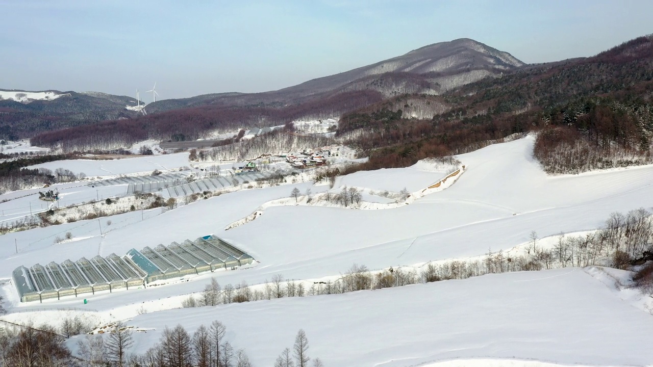 韩国江原道平昌郡大关岭附近的山野雪景视频素材