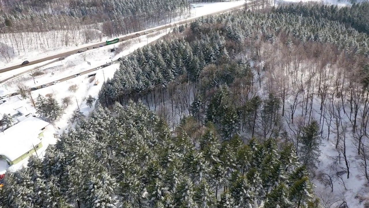 图为，韩国江原道平昌郡大关岭附近的雪景视频素材