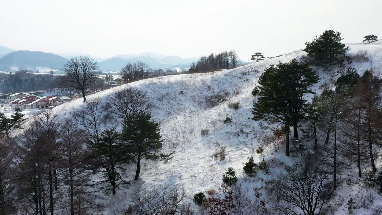 韩国江原道平昌郡大关岭村附近的雪景视频素材