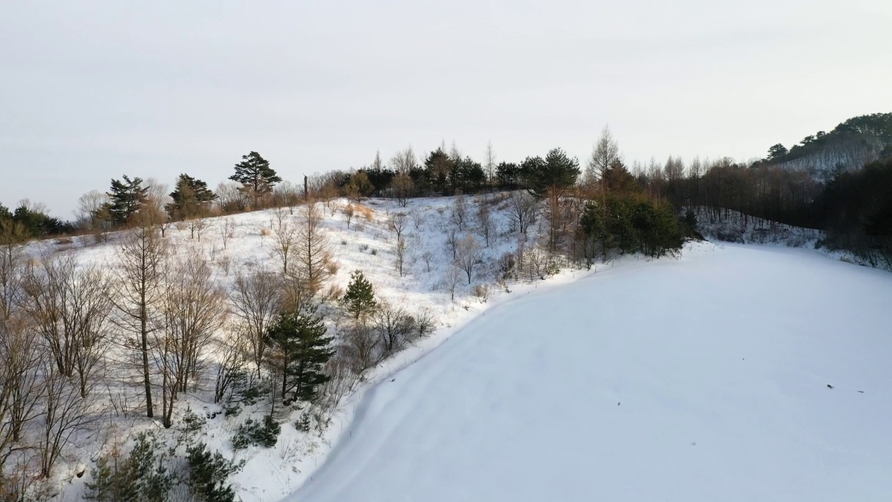 韩国江原道平昌郡大关岭附近的雪景视频素材