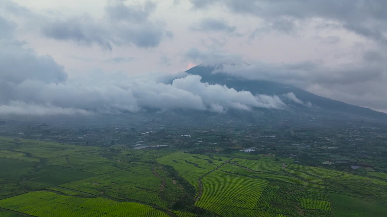 茶园和克里奇山。印度尼西亚苏门答腊。视频素材