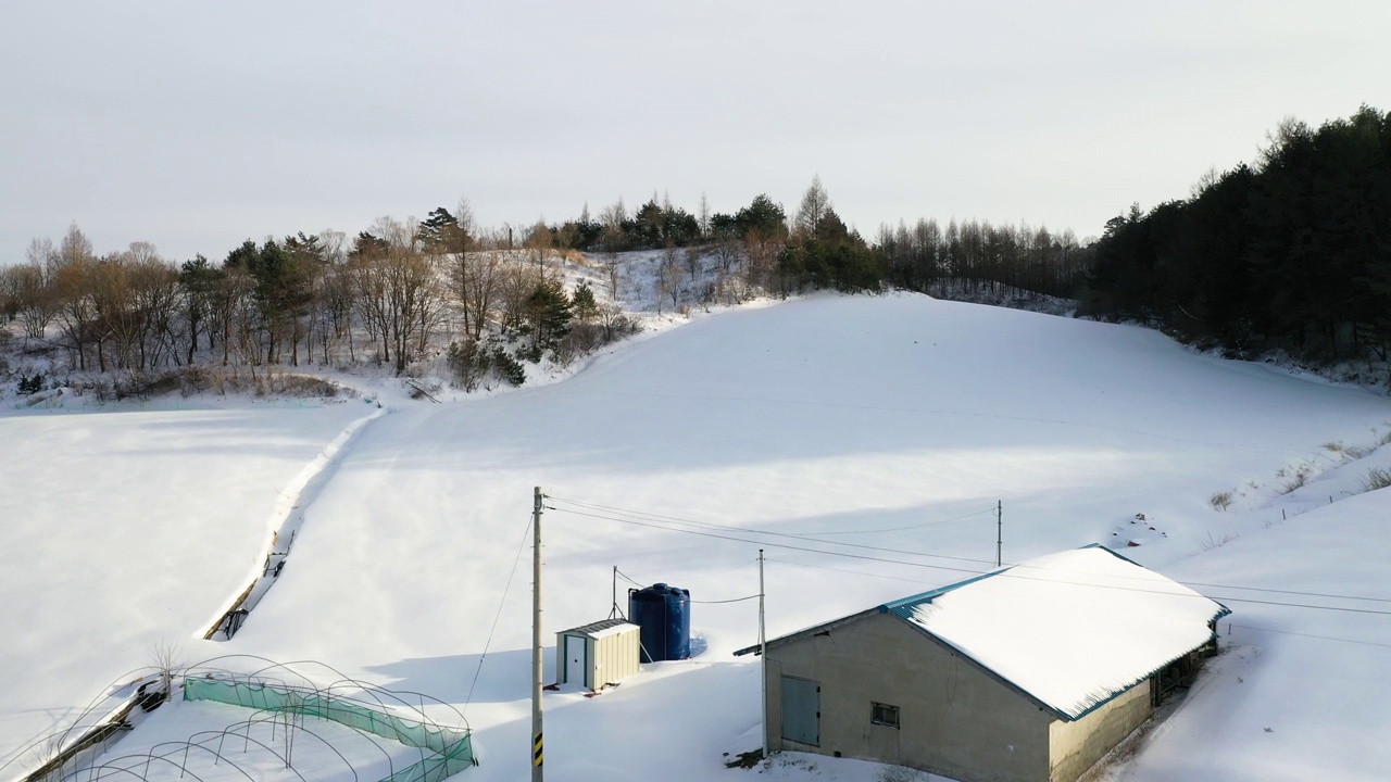 韩国江原道平昌郡大关岭附近的雪景视频素材