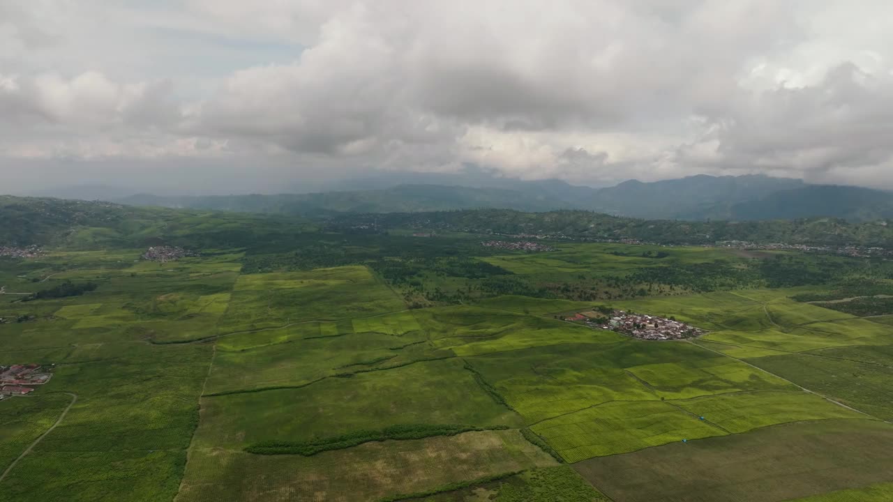 高地上的茶园。Kayu Aro，苏门答腊岛，印度尼西亚。视频素材