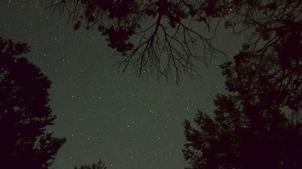 时间流逝的平移星星移动头顶框架森林树木-里奇韦，科罗拉多州视频素材