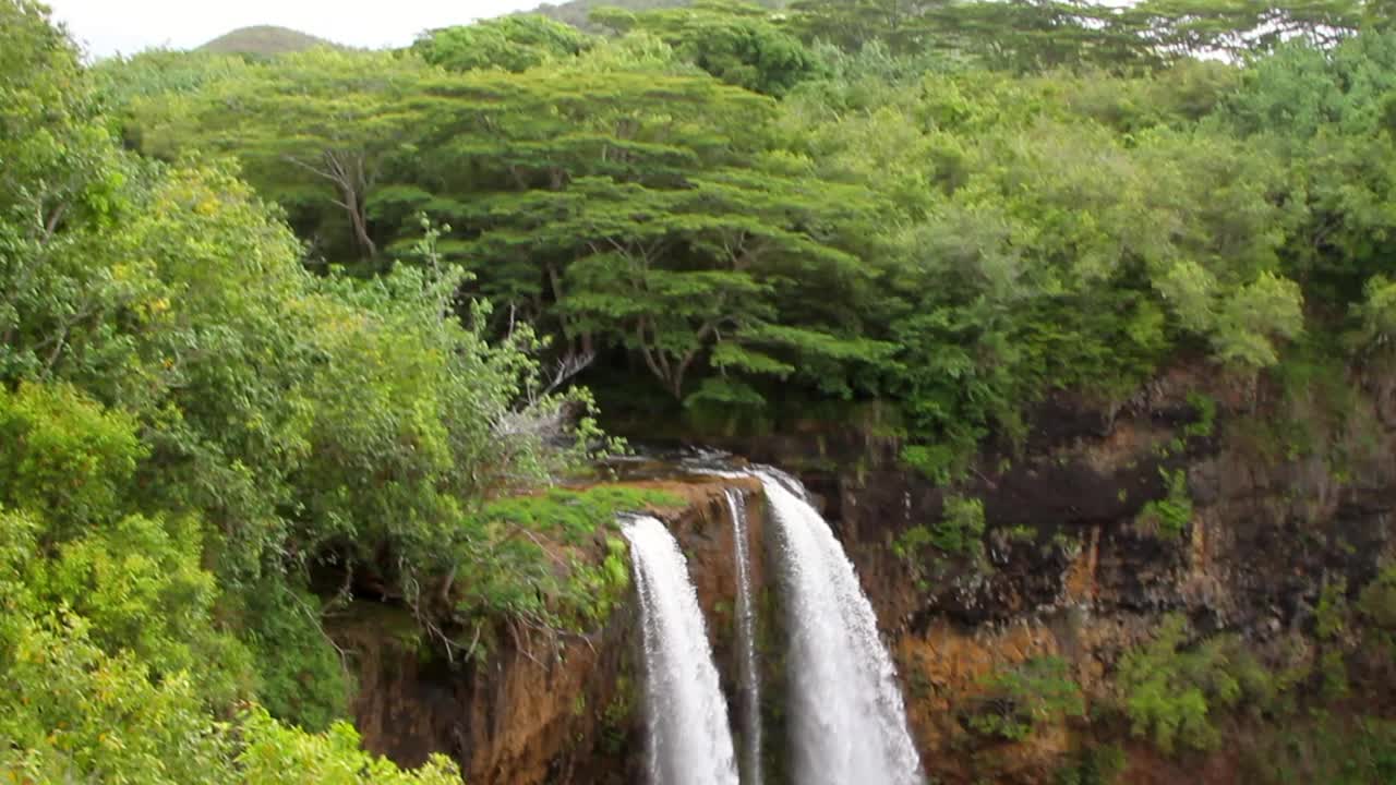 在阳光明媚的日子里，夏威夷考艾岛森林里的绿色植物和树木中，从岩石上向下倾斜的瀑布视频素材