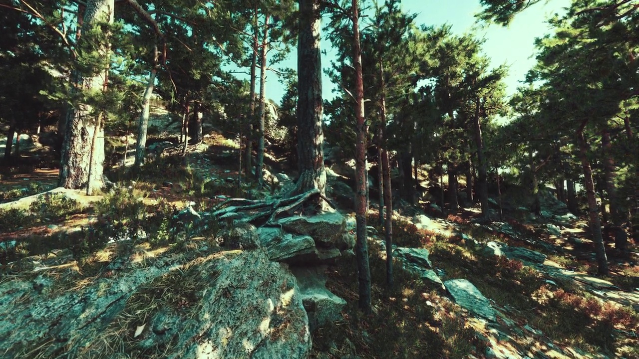 美丽的山区夏季景观在阳光明媚的日子视频素材