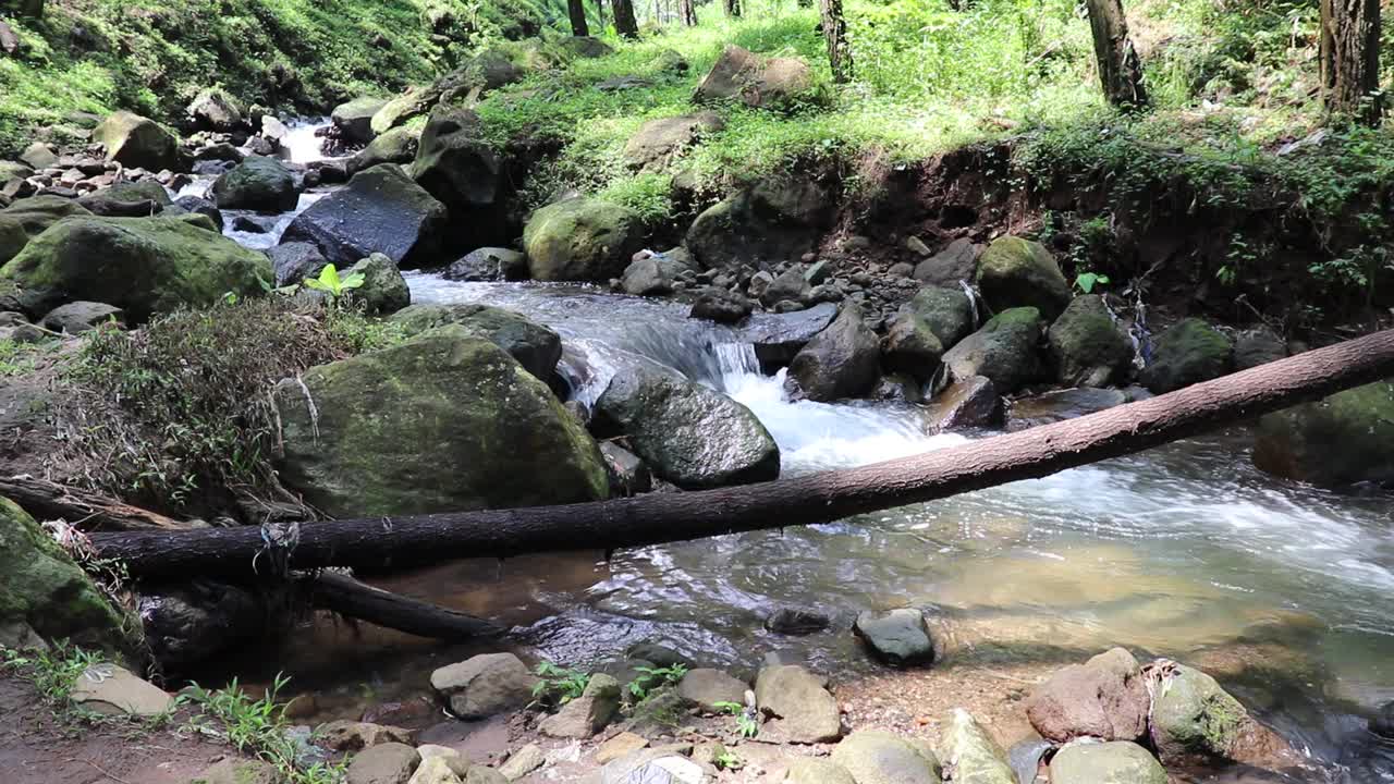 美丽的河流在热带雨林环绕的群山中流淌视频素材