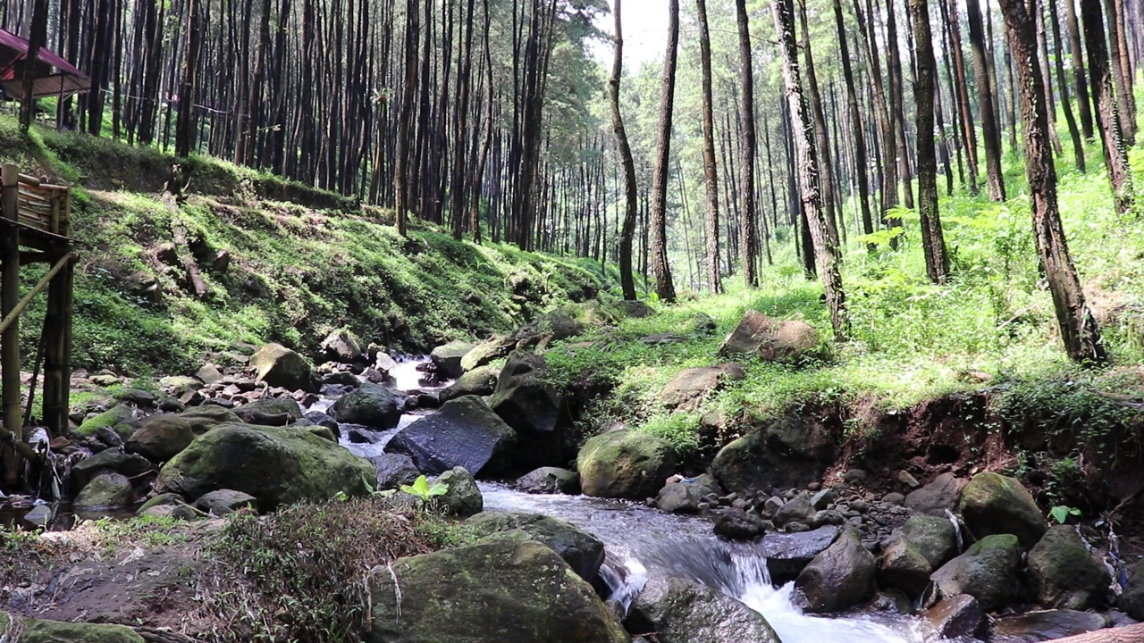 美丽的河流在热带雨林环绕的群山中流淌视频素材