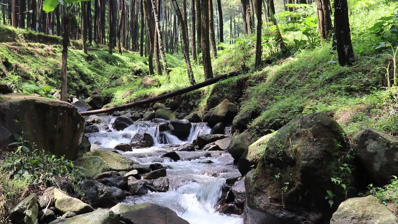 美丽的河流在热带雨林环绕的群山中流淌视频素材