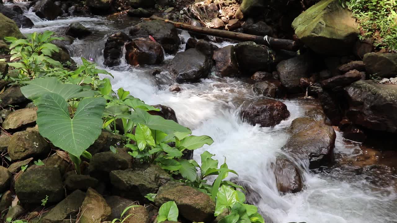 美丽的河流在热带雨林环绕的群山中流淌视频素材