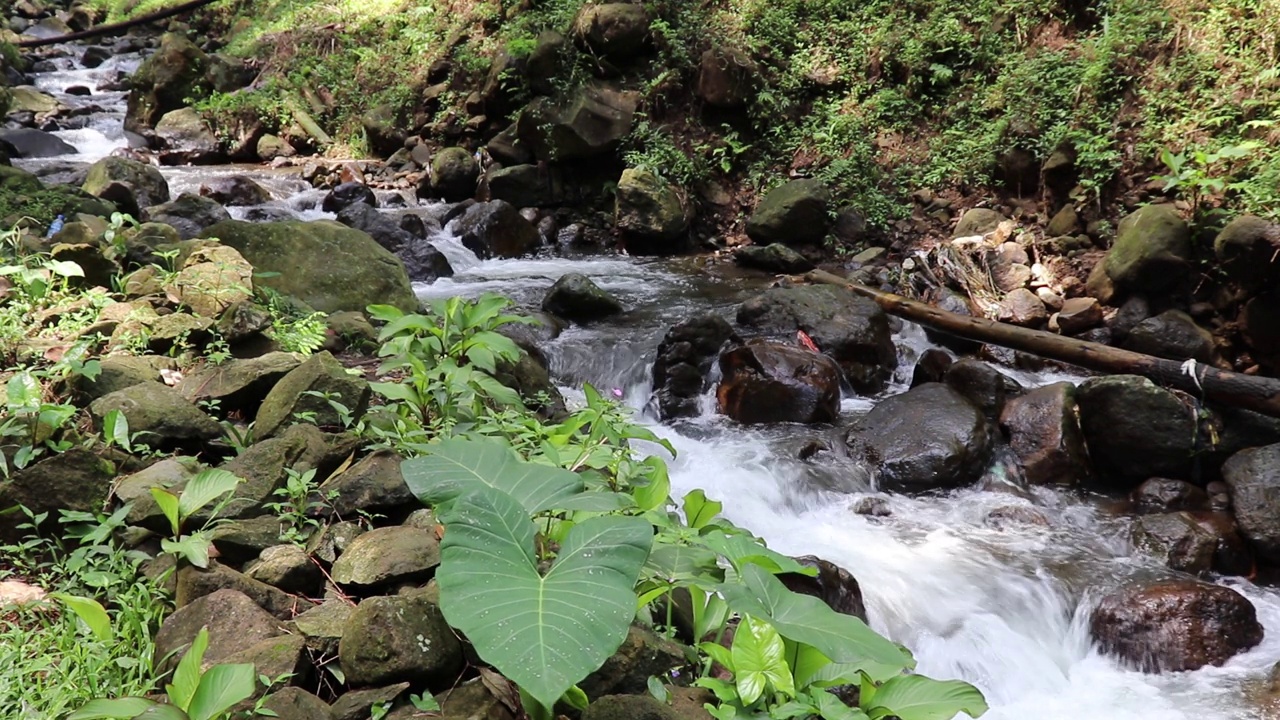 美丽的河流在热带雨林环绕的群山中流淌视频素材