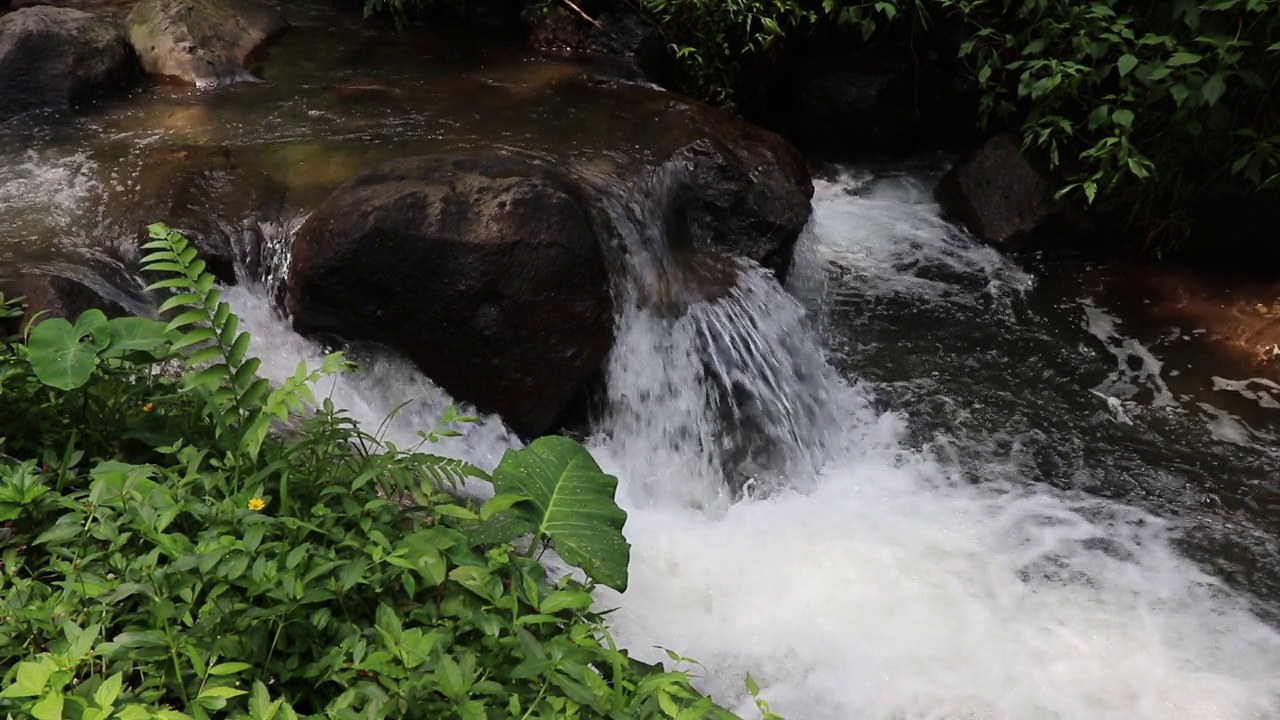 美丽的河流在热带雨林环绕的群山中流淌视频下载