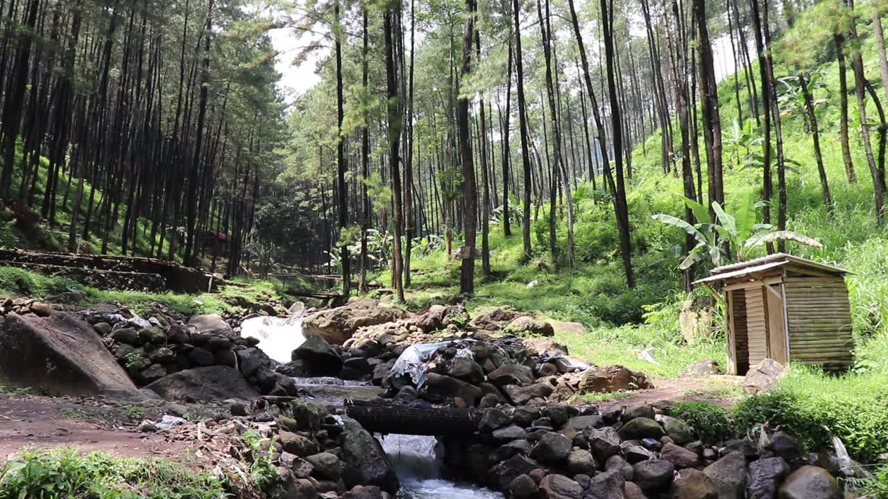 美丽的河流在热带雨林环绕的群山中流淌视频素材