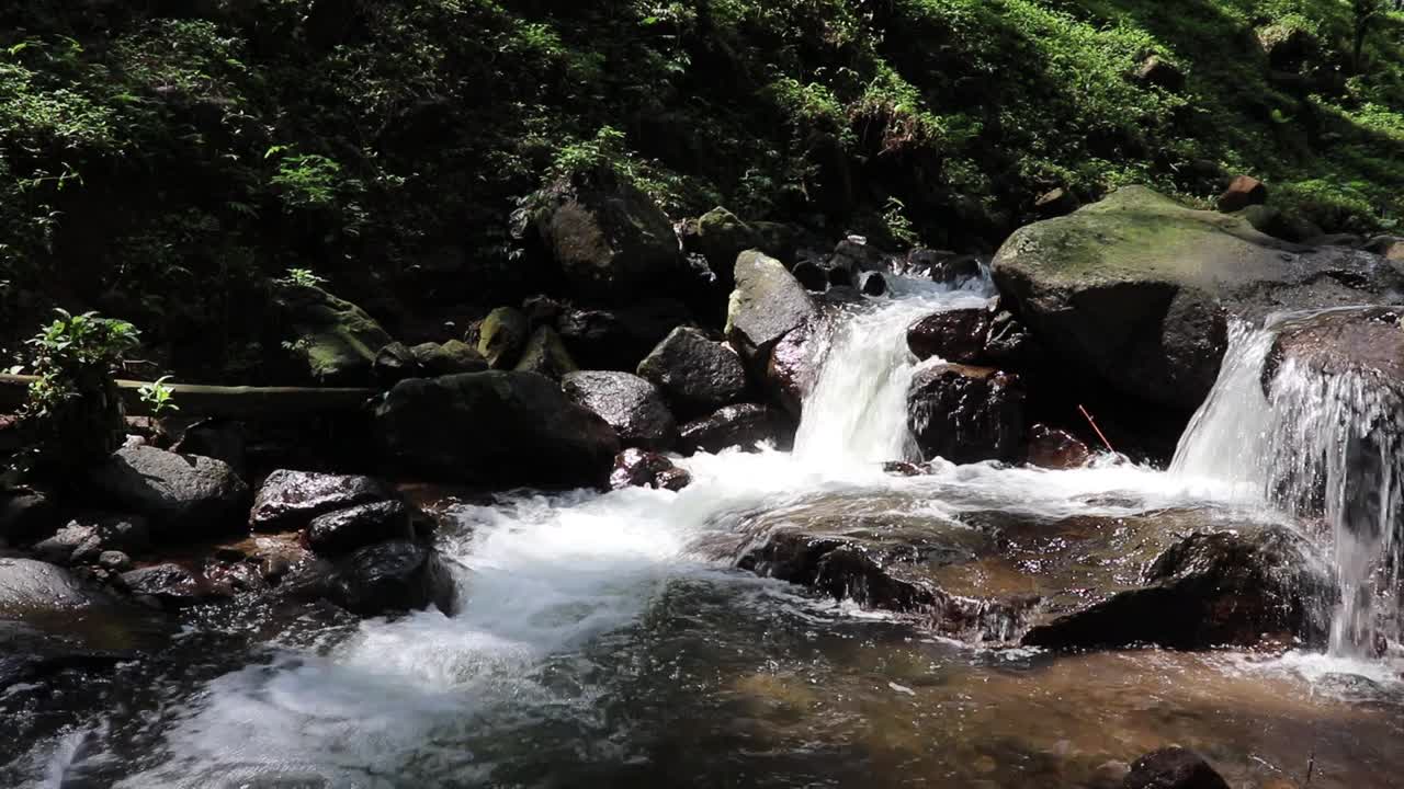 美丽的河流在热带雨林环绕的群山中流淌视频素材