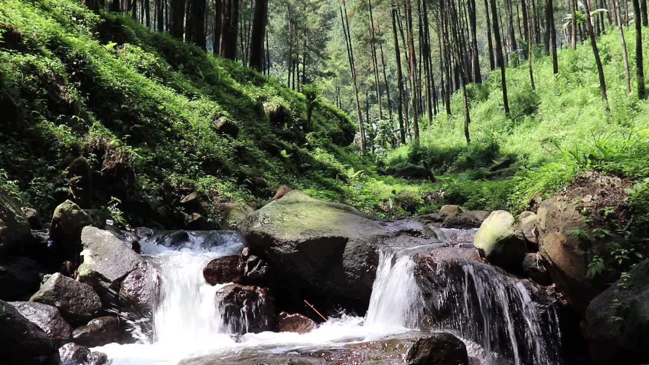 美丽的河流在热带雨林环绕的群山中流淌视频素材