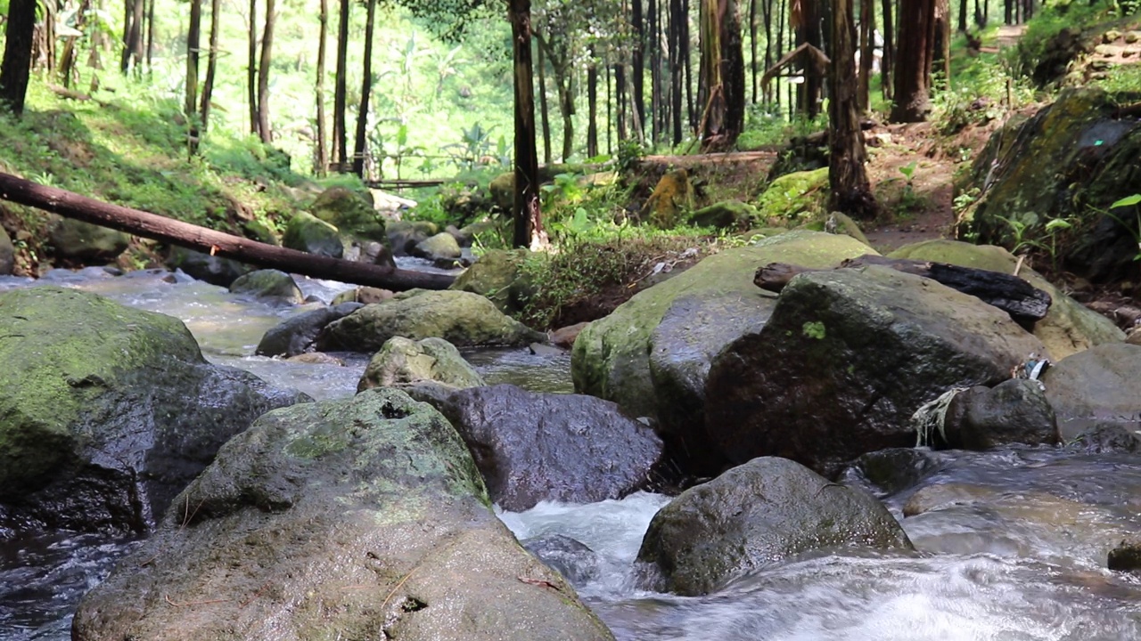 美丽的河流在热带雨林环绕的群山中流淌视频下载