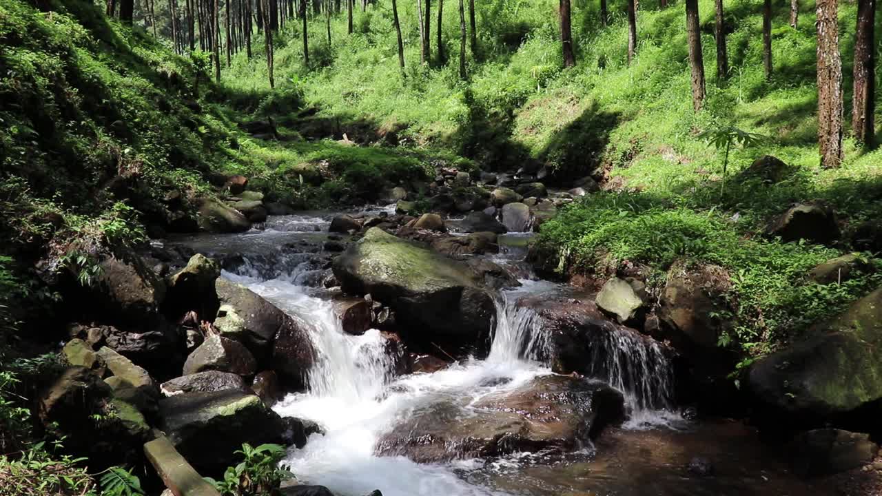 美丽的河流在热带雨林环绕的群山中流淌视频素材