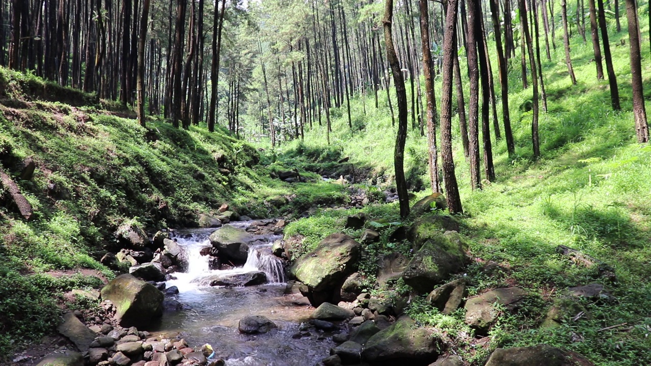 美丽的河流在热带雨林环绕的群山中流淌视频下载