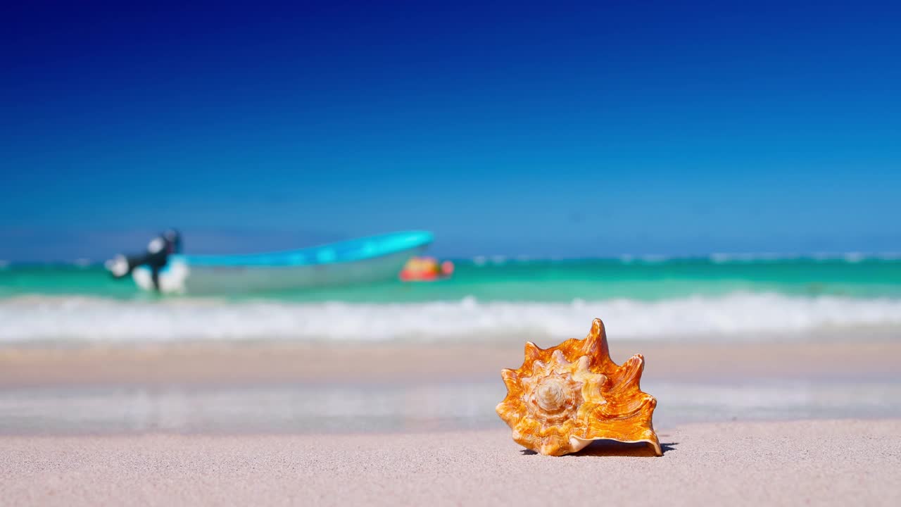 沙滩上的贝壳，背景是绿松石般的海浪。热带目的地。加勒比海岛的暑假4k视频视频素材