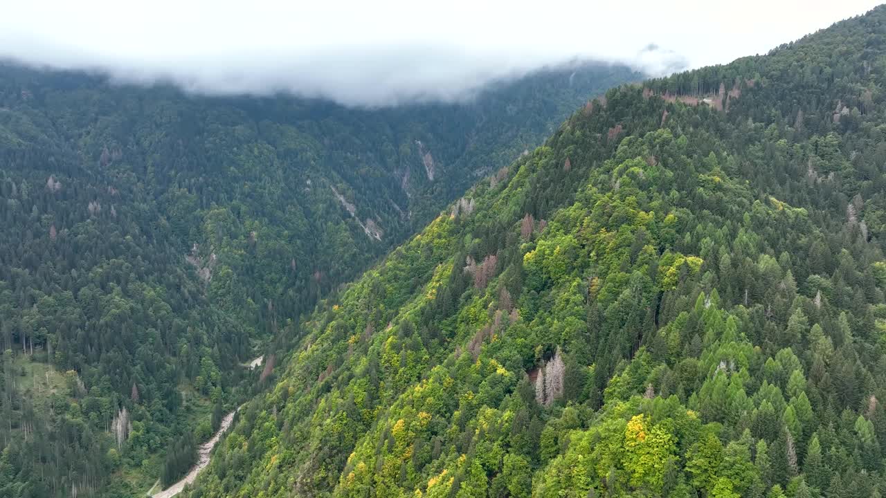 意大利，奥瓦罗米奥内——2023年4月:清晨，空中无人机拍摄了一个有云的山谷。意大利阿尔卑斯山脉绿色山坡上的小山村米奥内有漂亮的房子。视频素材