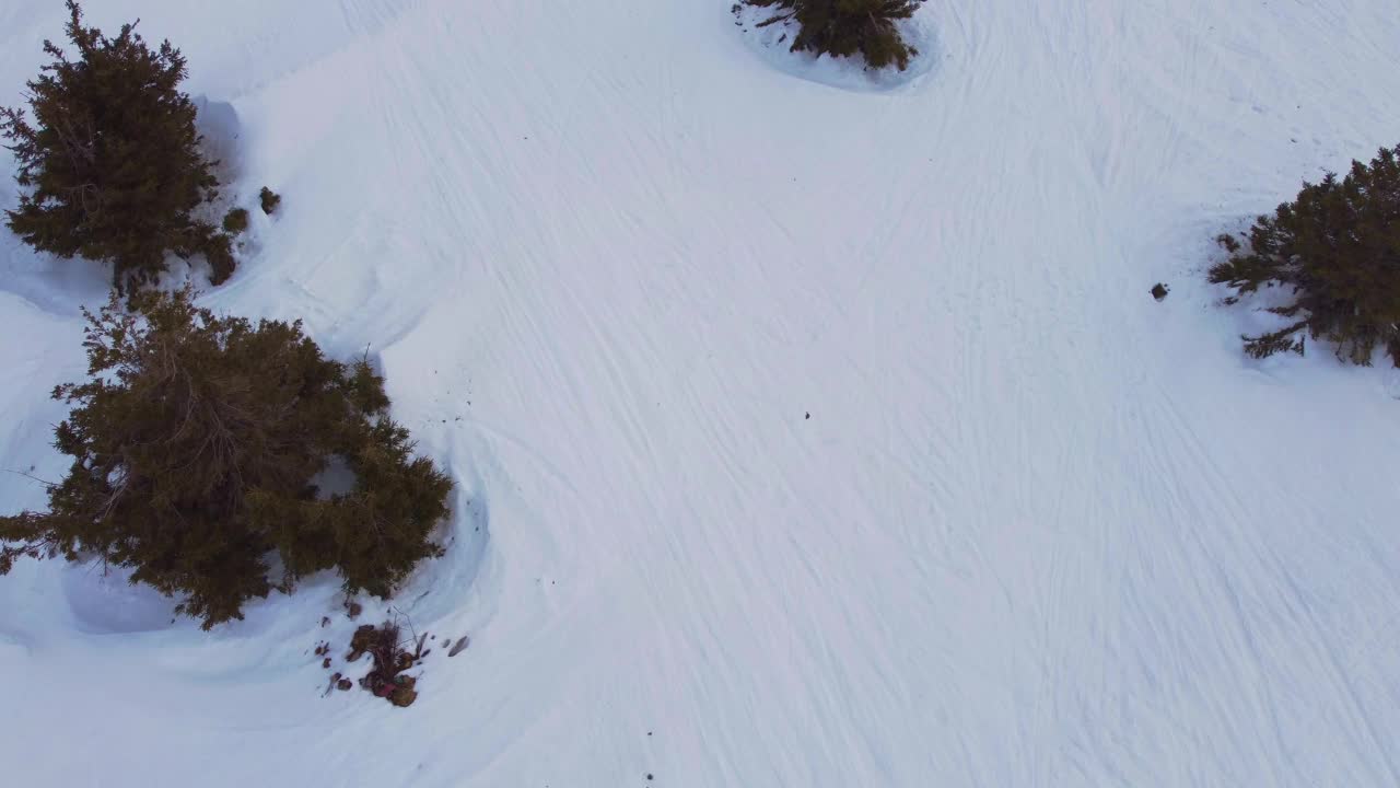 美丽的风景布热斯和科波奥尼克山脉，丘陵和树木在冬季视频素材