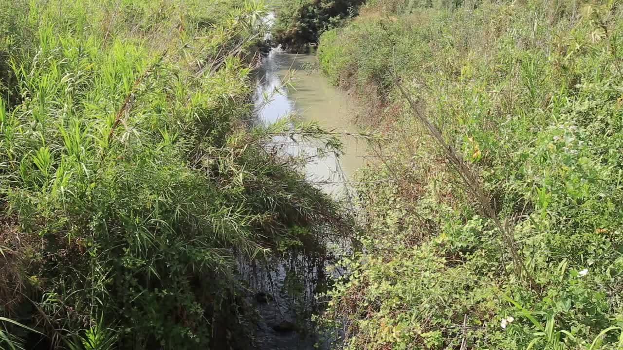 湖/以色列视频素材