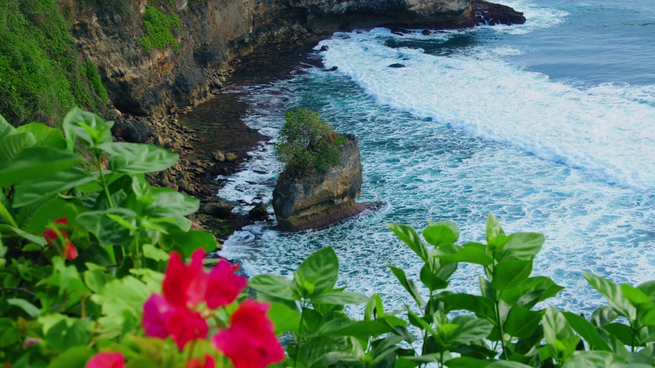 海洋海滩，宁静的海景，海浪泡沫撞击着热带绿色的岩石海滩，盛开着深红色的花朵。印尼巴厘岛Uluwatu。崖边品红色的花，碧蓝的水。视频素材