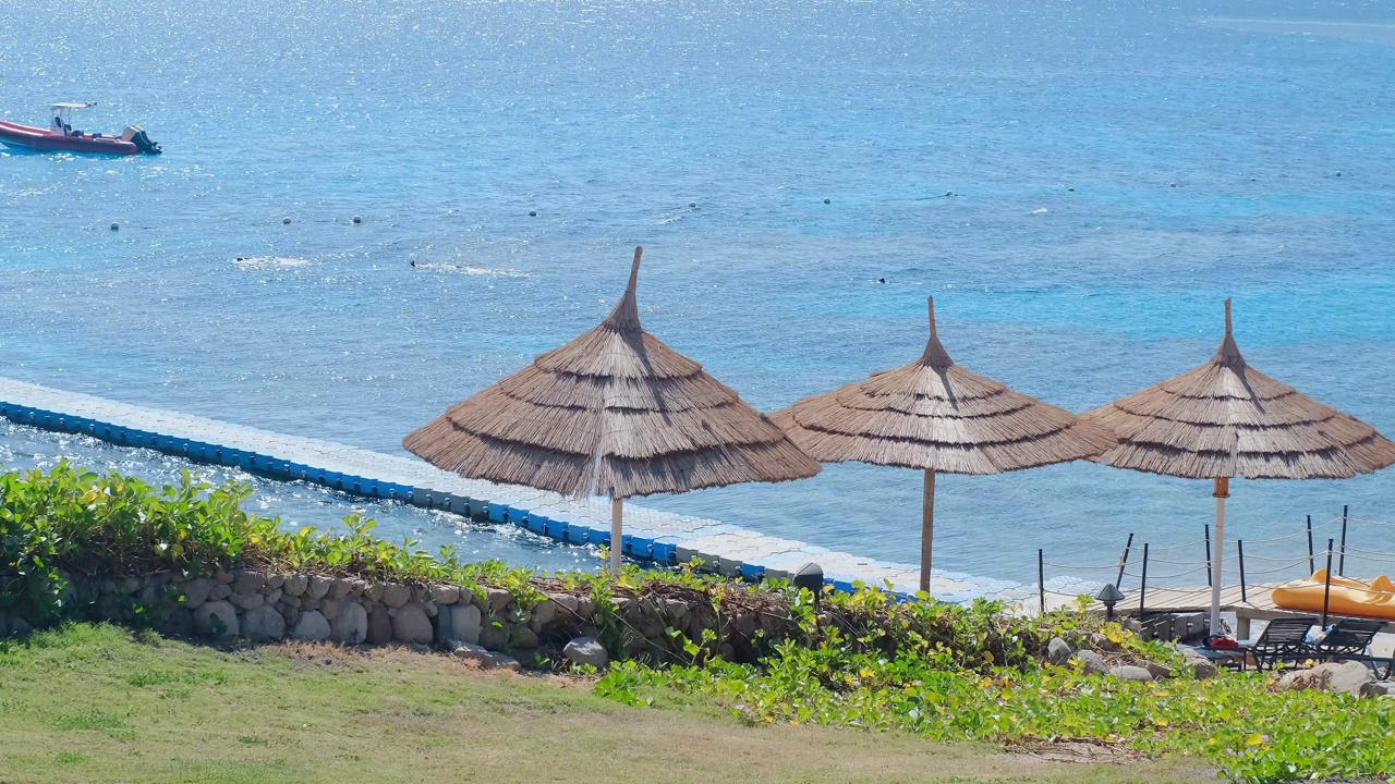 热带海滩遮阳伞在红海附近的珊瑚礁，全景的海岸异国情调的景观放松，海滩上有棕榈树，遮阳伞和躺椅和一个长潘通视频素材