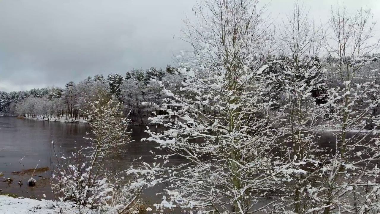 无人机在灰色多云的天空下拍摄雪林树木和河流视频素材