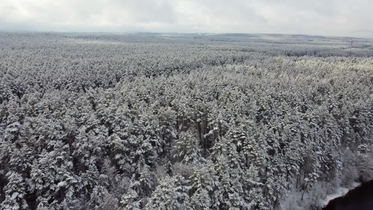 无人机在灰色的天空下拍摄了一片白雪覆盖的森林和沿河的树木视频素材