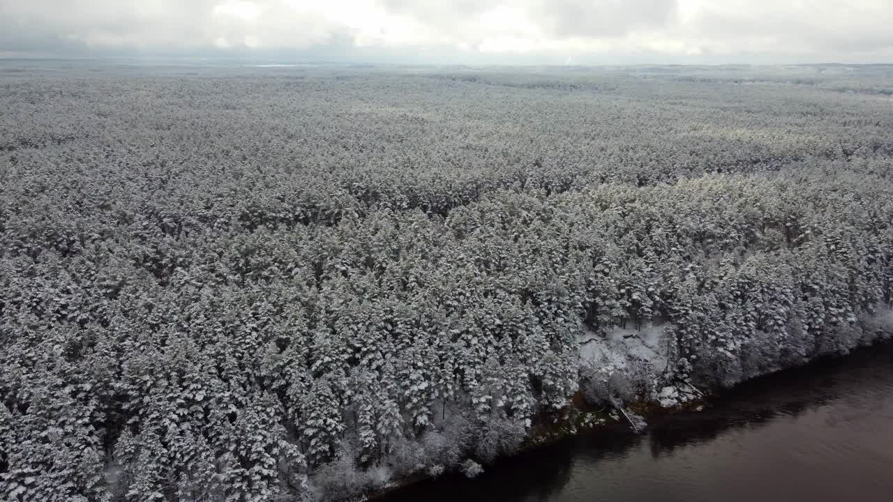 无人机在灰色的天空下拍摄了一片白雪覆盖的森林和沿河的树木视频素材