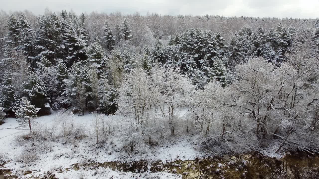 无人机拍摄的画面是灰色天空下的雪林树木和河流视频素材