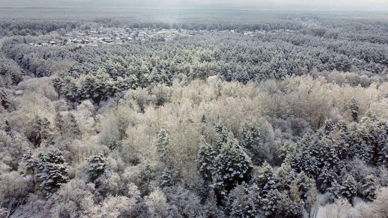 无人机拍摄的画面显示，灰色多云的天空下，雪林树木与河流并排视频素材