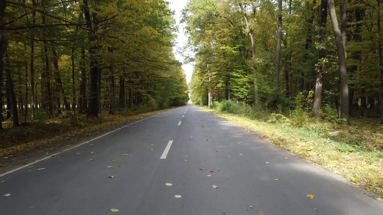 森林道路上的交通。树旁的路。视频下载