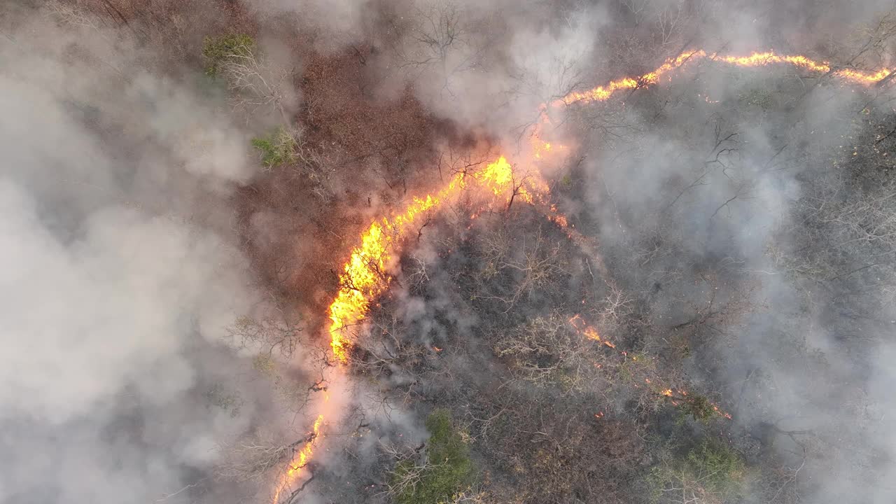 气候变化:野火释放的二氧化碳(CO2)和其他温室气体(GHG)导致气候变化和全球变暖。视频素材