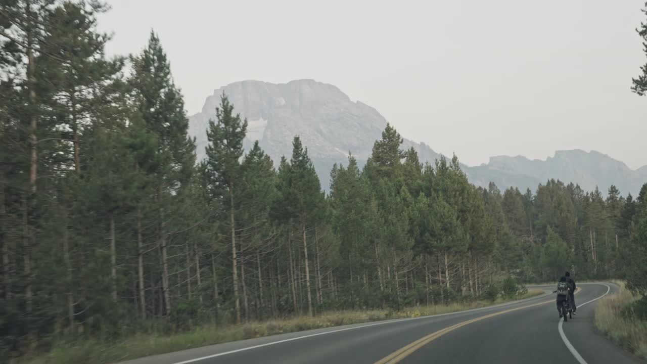 弯曲的公路和森林视频素材