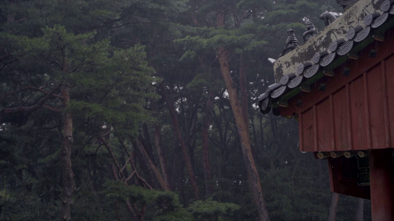 下雨天，韩国京畿道南杨州市，撒陵王陵附近视频素材