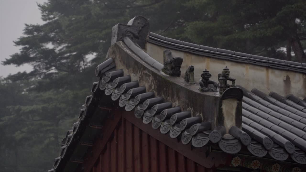 下雨天，韩国京畿道南杨州市，撒陵王陵附近视频素材