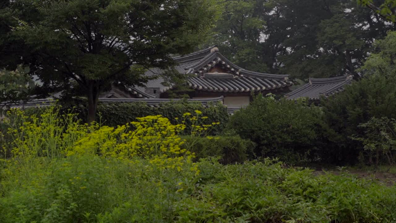 韩国京畿道南杨州市，韩屋和寺庙附近的下雨天视频素材