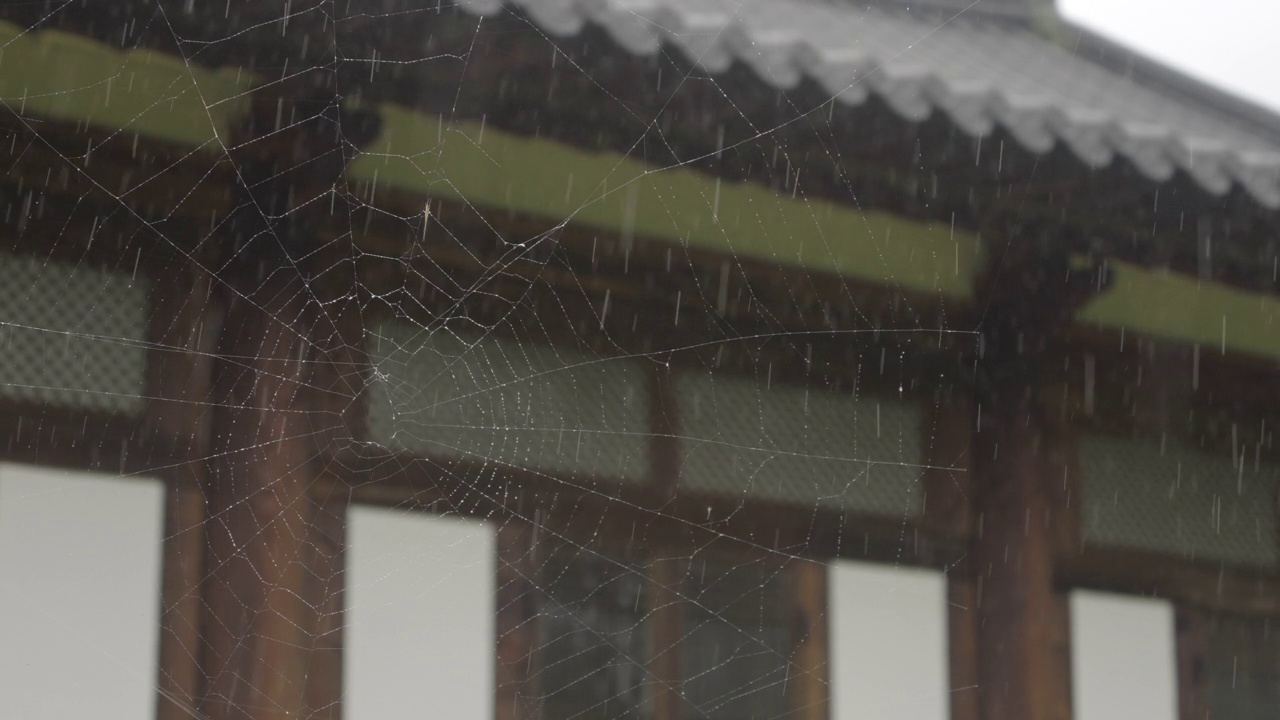 下雨天，京畿道龟尾区龟尾洞训练中心的蜘蛛网、檀青和屋檐视频素材